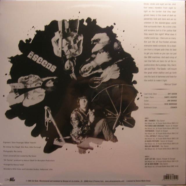 A Web Of Sound - Seeds, The (12”) music collectible - Main Image 2