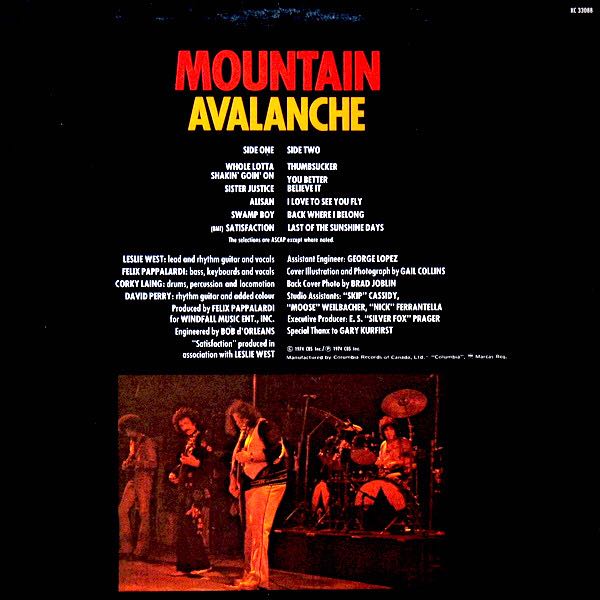 Avalanche - Mountain (12”) music collectible - Main Image 2