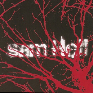 Sam Hell - Sam Hell (CD) music collectible [Barcode 653496117723] - Main Image 1