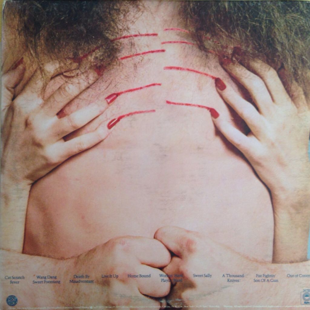 Cat Scratch Fever - Nugent, Ted (12” - 38) music collectible - Main Image 2