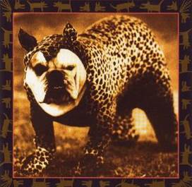 Shostakovich: Symphony No. 5 / Mendelssohn: Symphony ...