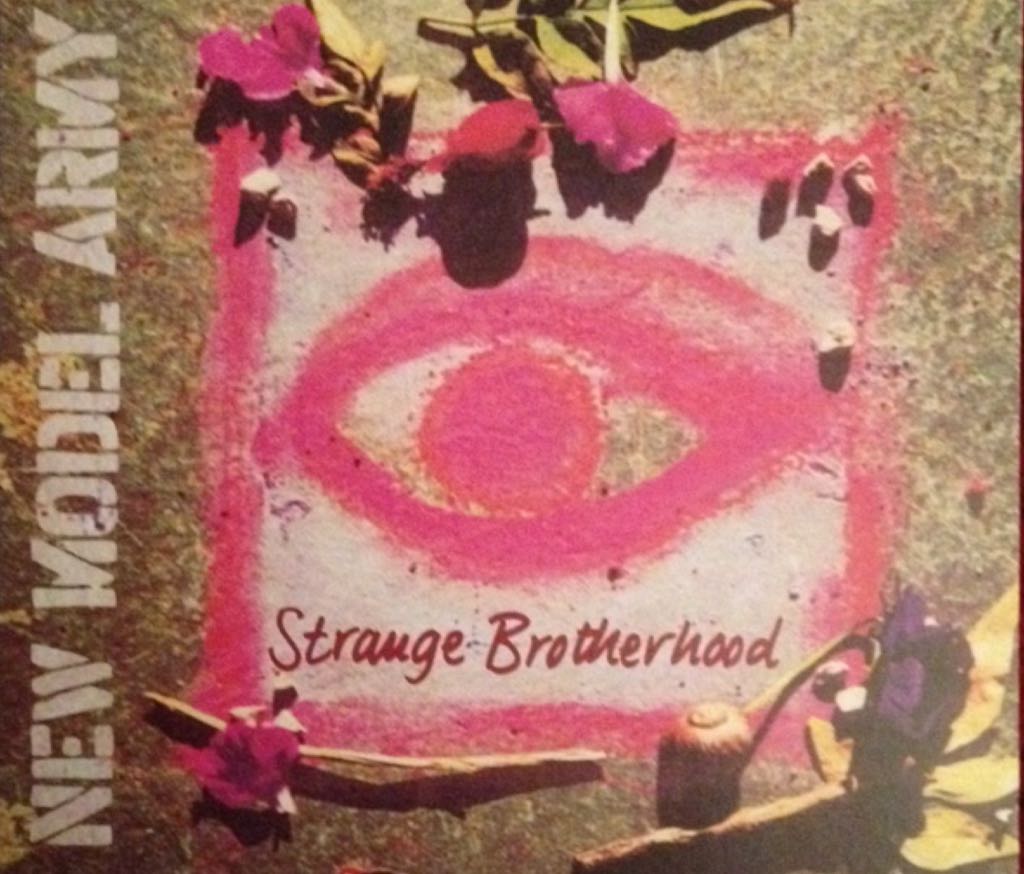 Dr. Byrds & Mr. Hyde