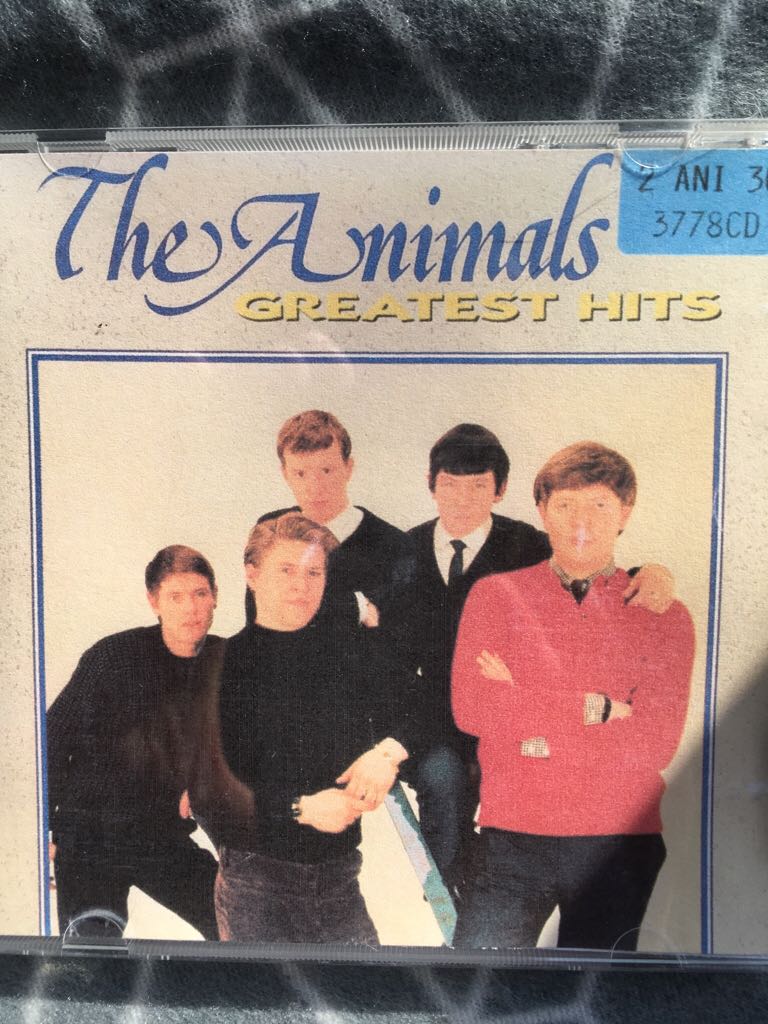 La Vida Es Un Ratico