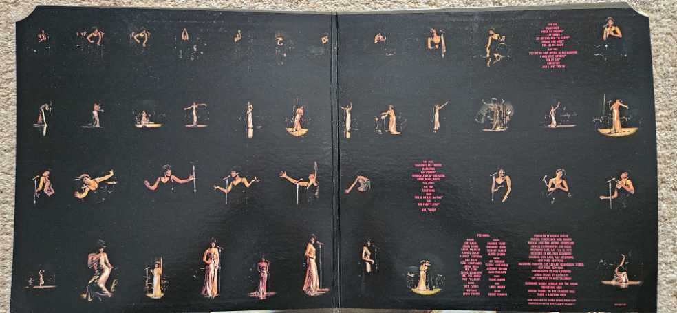 Shirley Bassey Live at Carnegie Hall - Bassey, Shirley (12”) music collectible [Barcode 021471149623] - Main Image 3