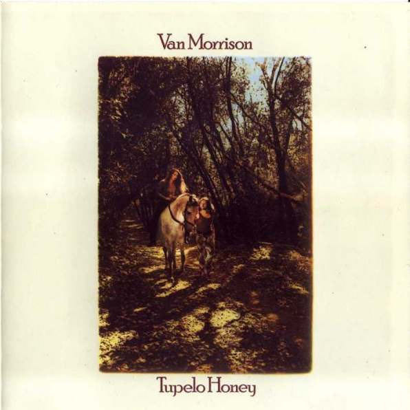 Tupelo Honey - Morrison, Van (12” - 41) music collectible - Main Image 3