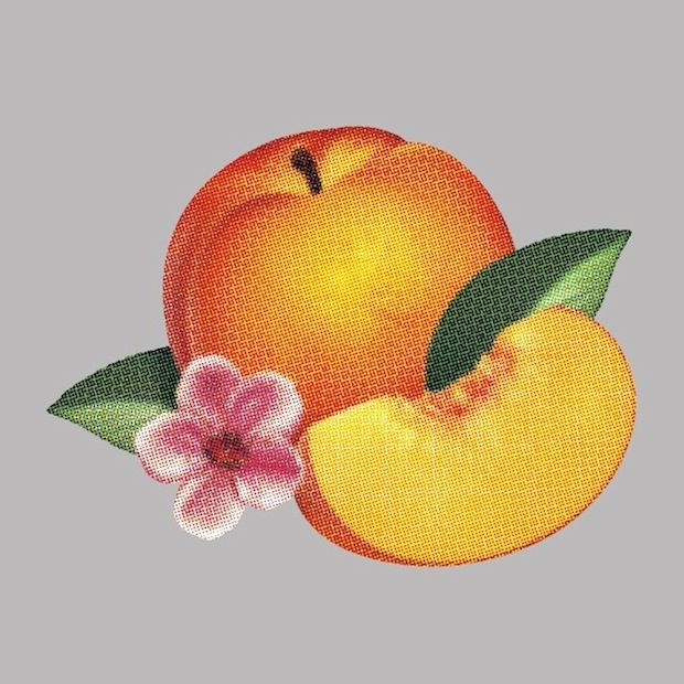 Bankrupt! - Phoenix (12”) music collectible - Main Image 1