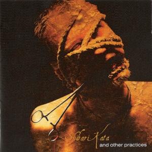 Shibari Kata And Other Practices