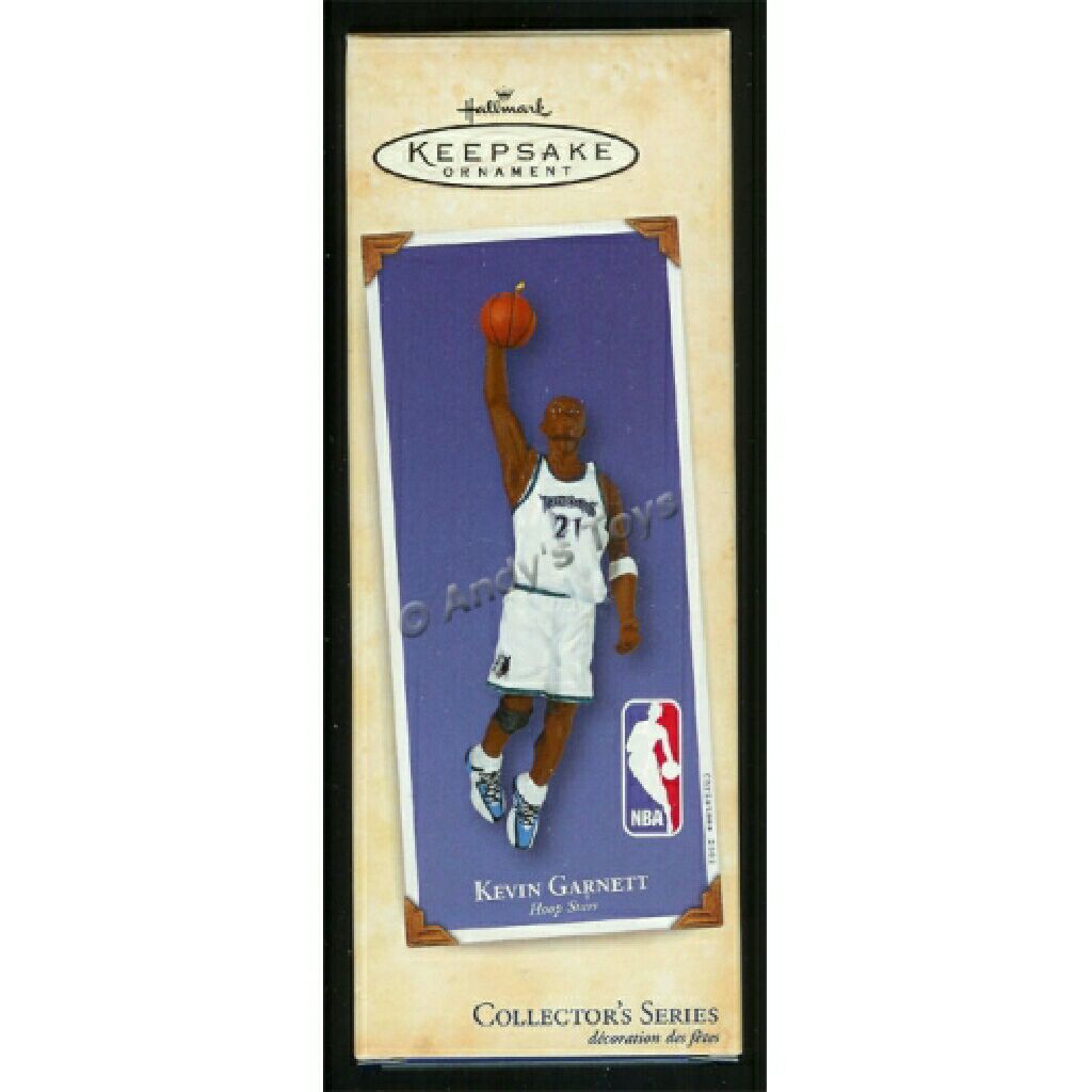 03 - Curious Raccoons