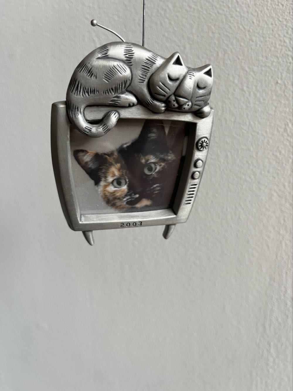 Special Cat  (Cats) ornament collectible [Barcode 015012743845] - Main Image 3