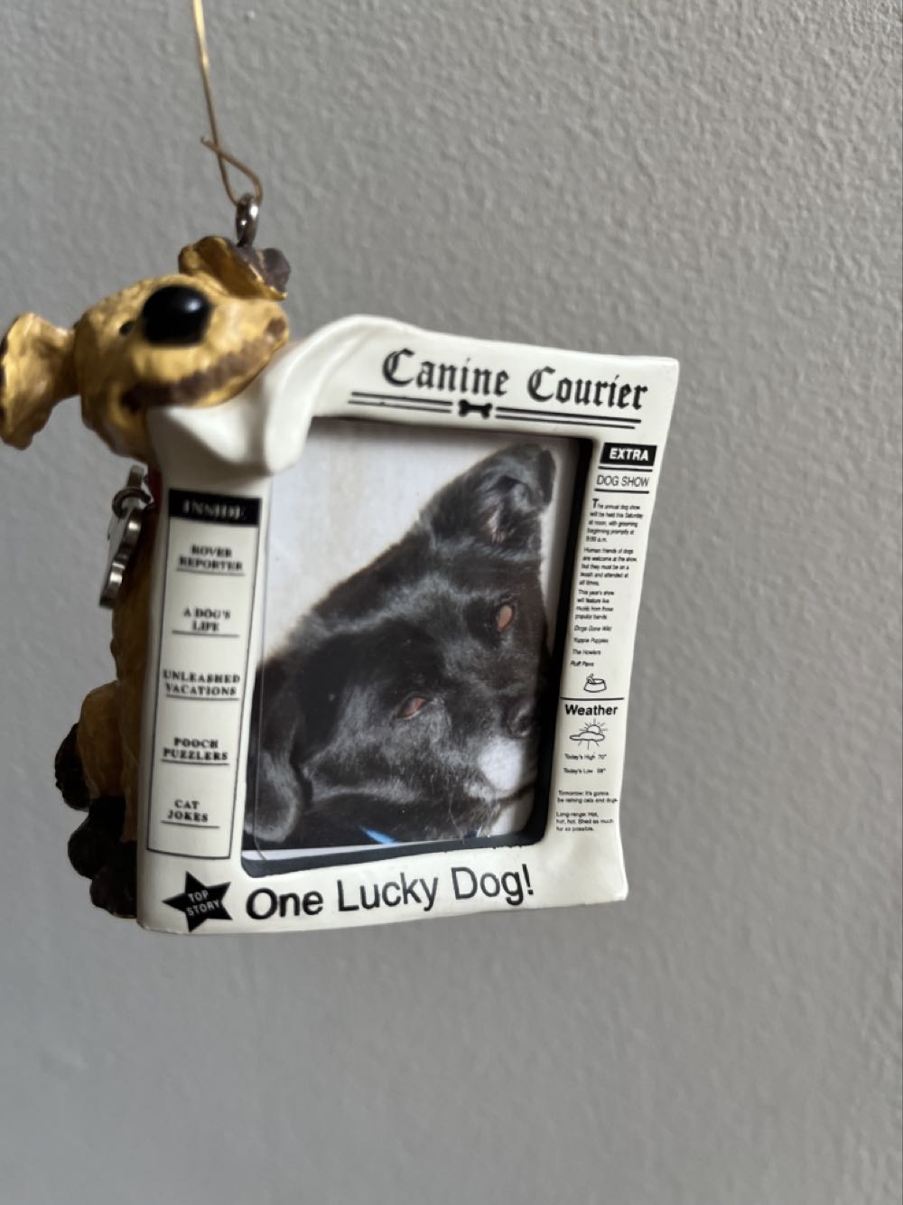 Special Dog  (Dogs) ornament collectible [Barcode 015012813760] - Main Image 3