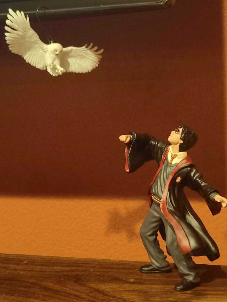 Harry Potter:  Harry Potter And Hedwig - Harry Potter (Harry Potter) ornament collectible [Barcode 015012830699] - Main Image 3