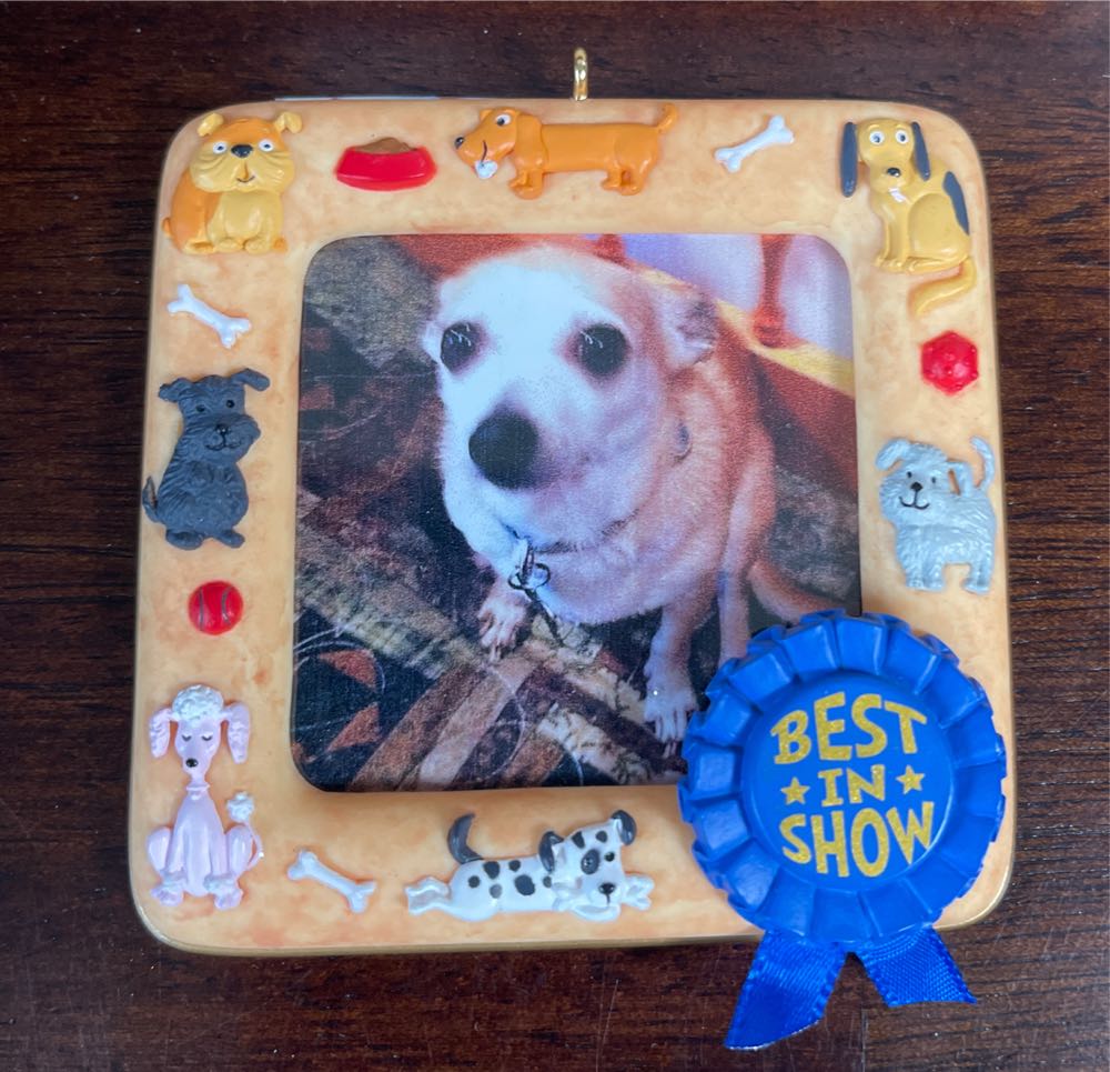 Best In Show - Frame - Dog (Dog Frame) ornament collectible [Barcode 015012865943] - Main Image 4