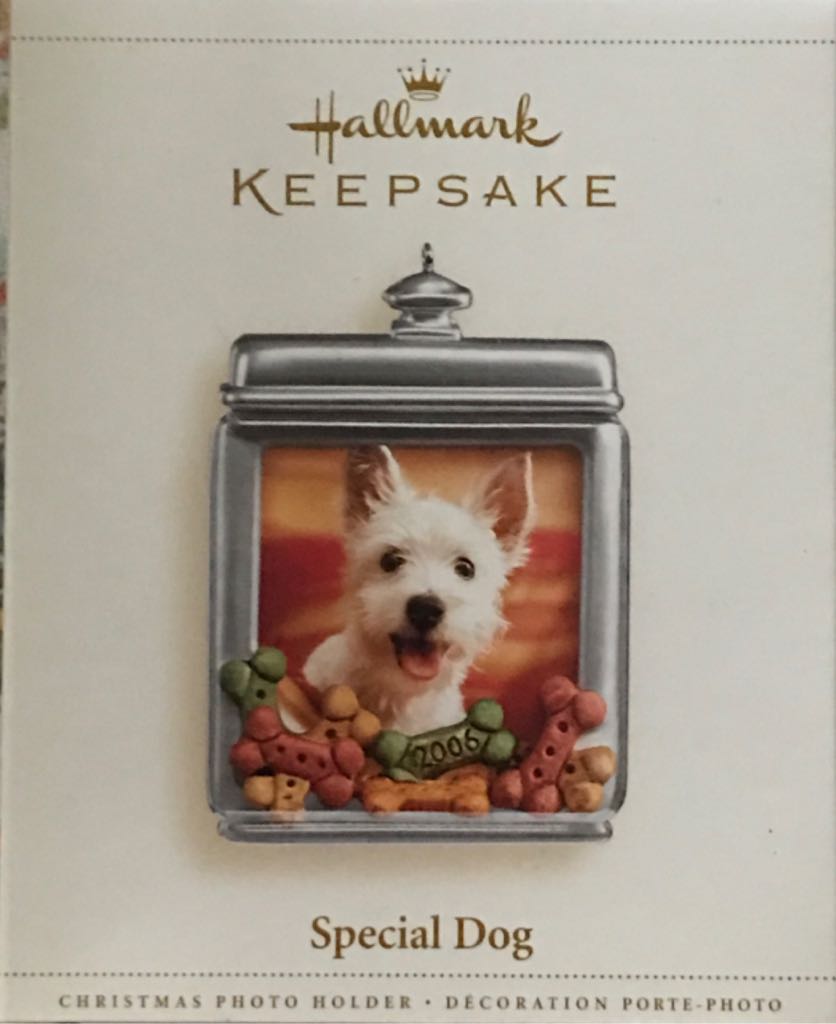 The Journey Of The Kings