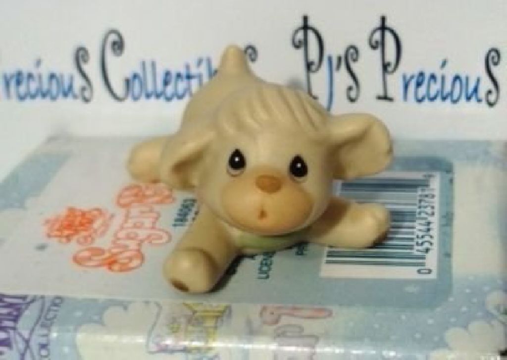 Home is Where the Sled Is