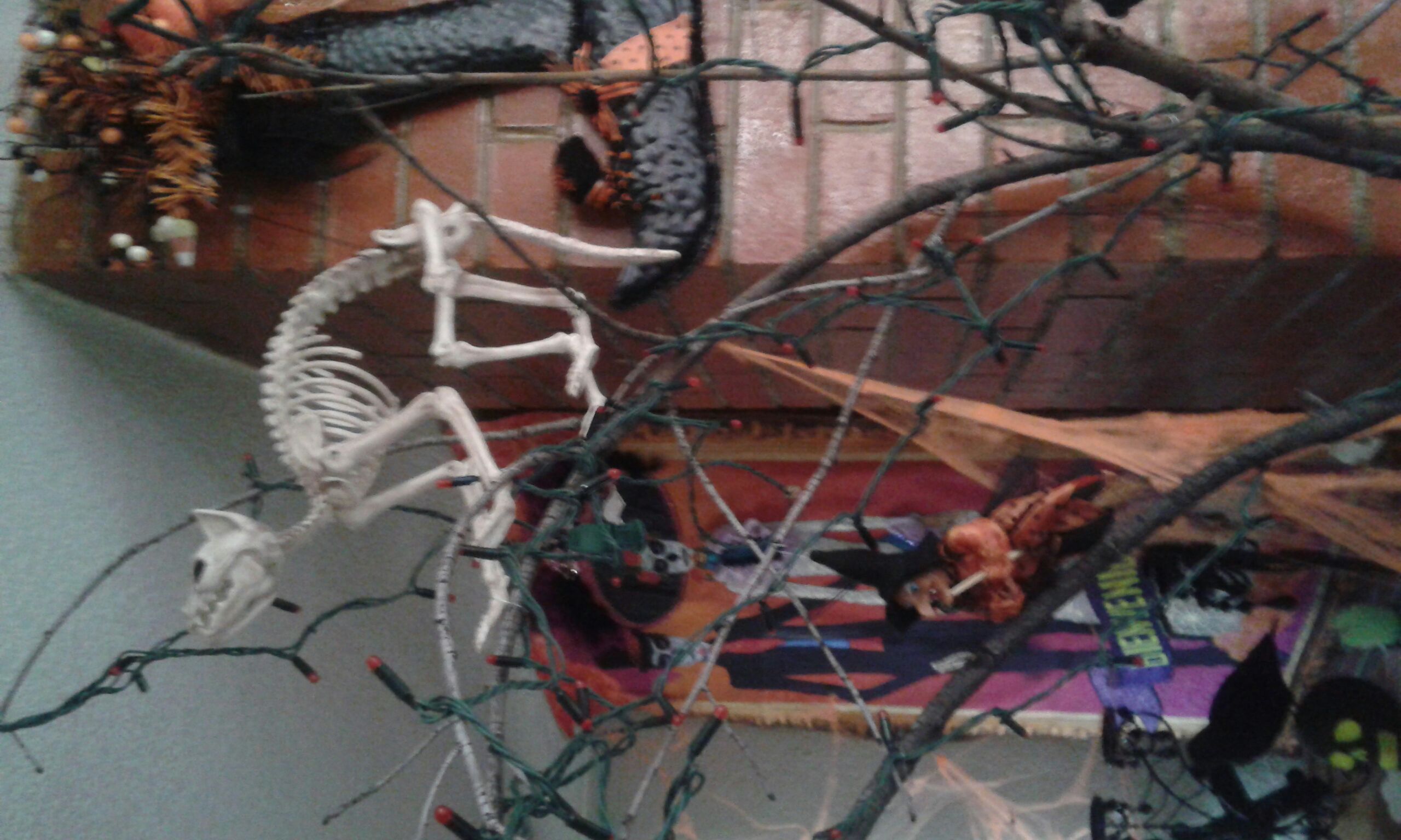 Canadian Tire Store Front