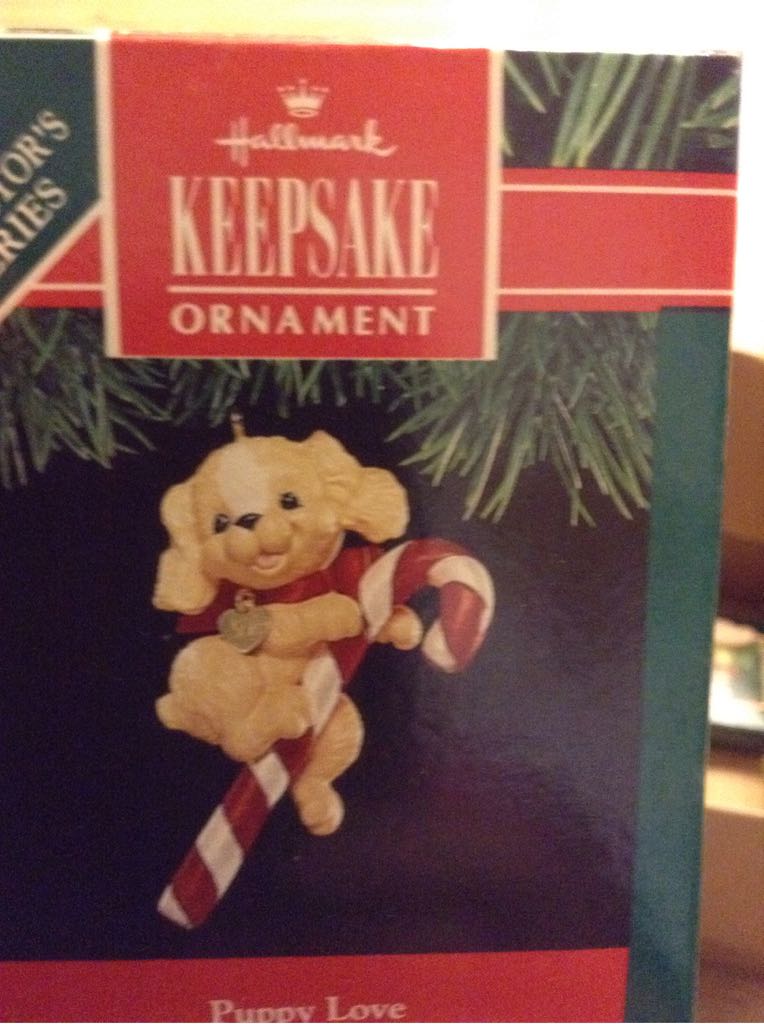 Mischievous Kittens  #6