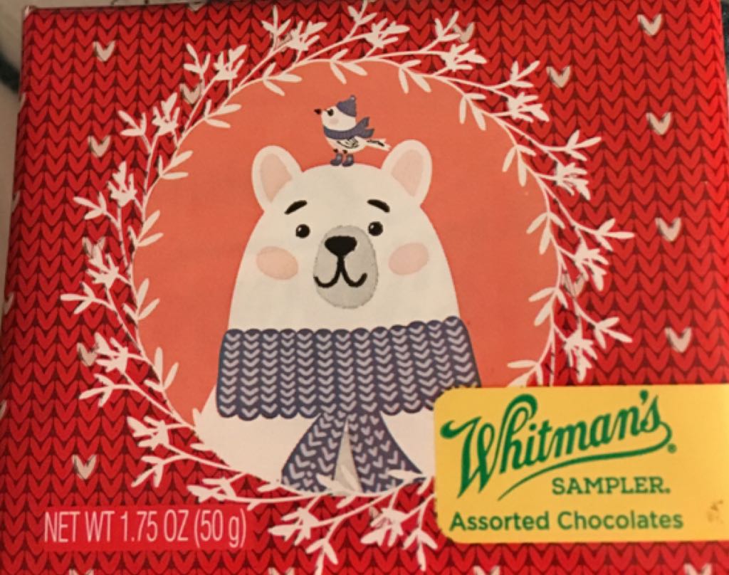 Dazzling Hummingbird