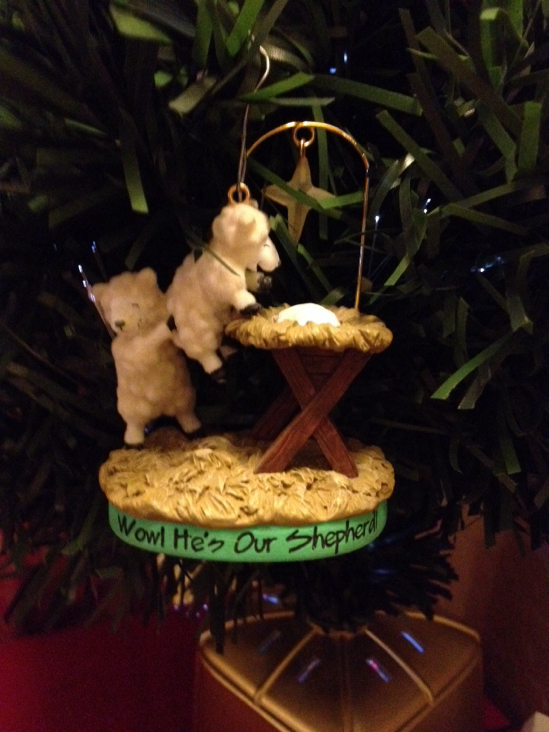 Inside Story -Deer - 2016