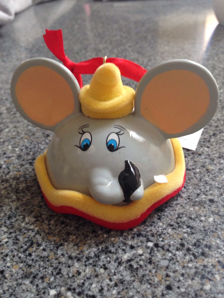 Mountain Bluebird 2017