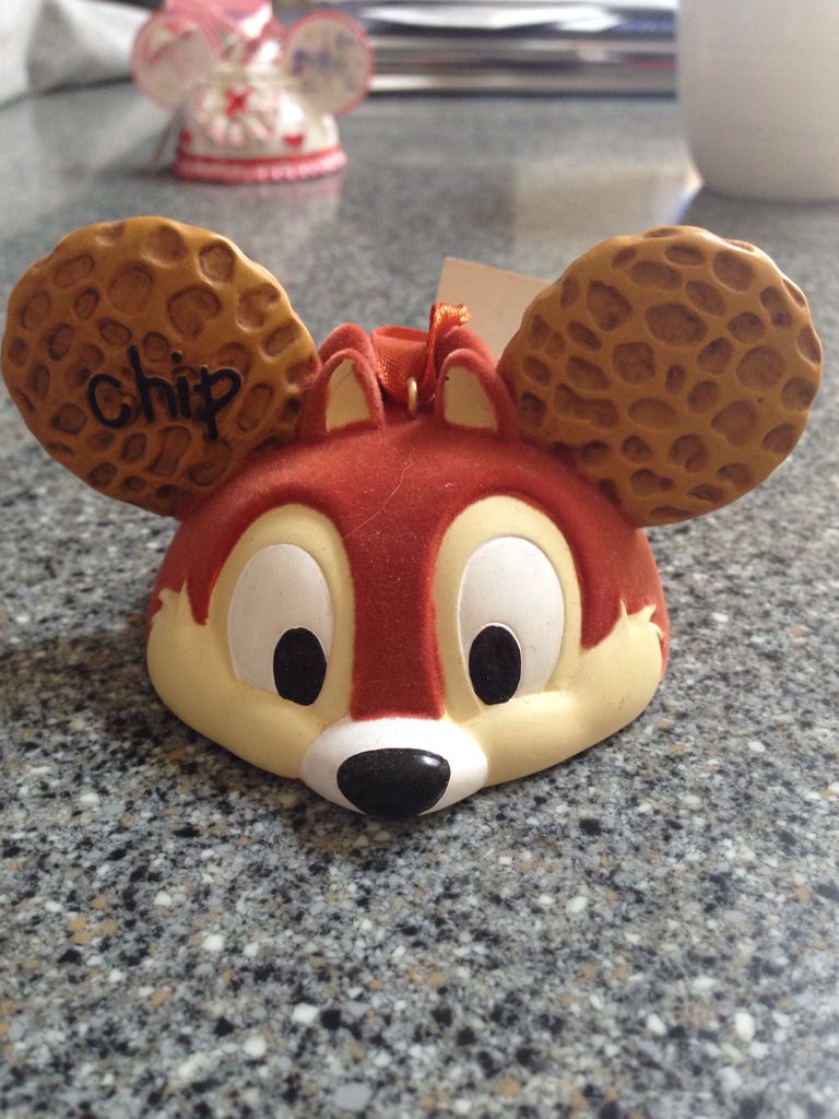 Beauty of Birds #3 Blue Jay