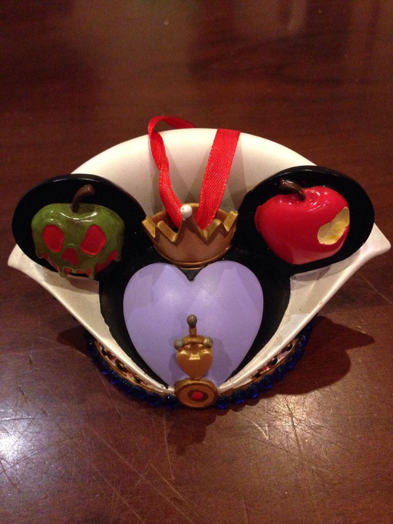 Leopard in the morning light