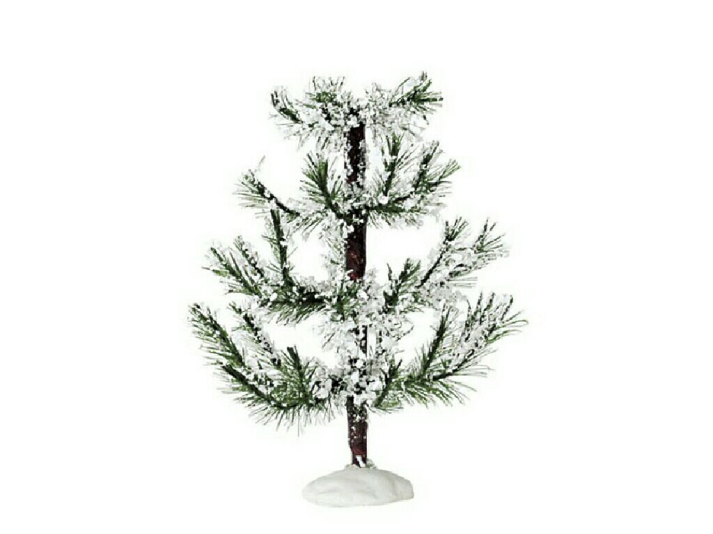 Director’s Chair Canvas