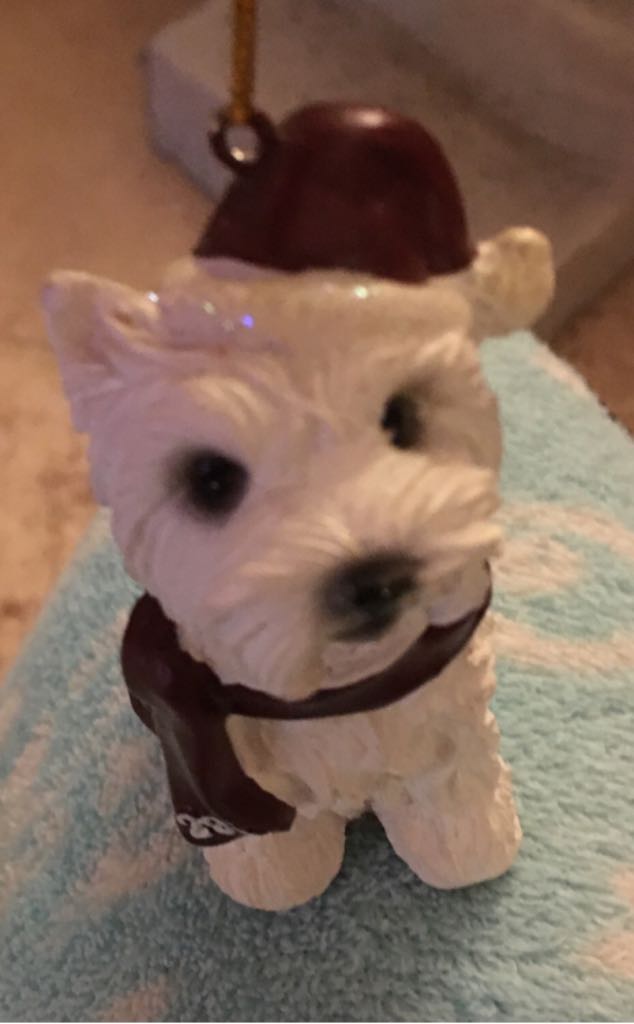 Madame Alexander 13 - Follow Your Dreams Angel