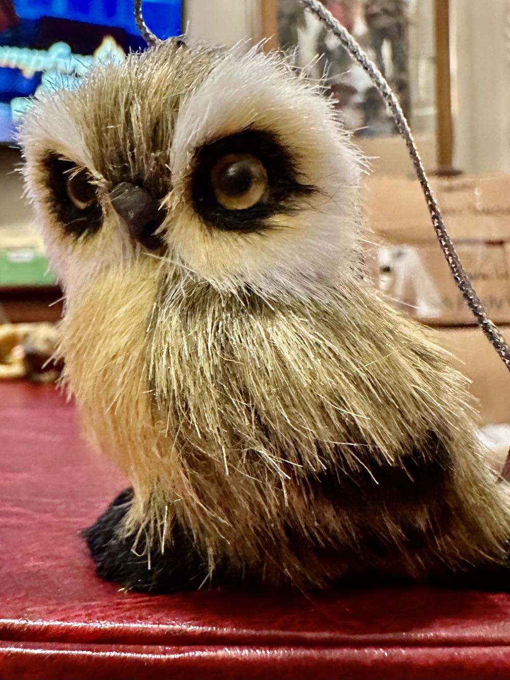 Forest Friends 2.5” Brown And Black Owl Wildlife Ornament  ornament collectible [Barcode 738449257784] - Main Image 2