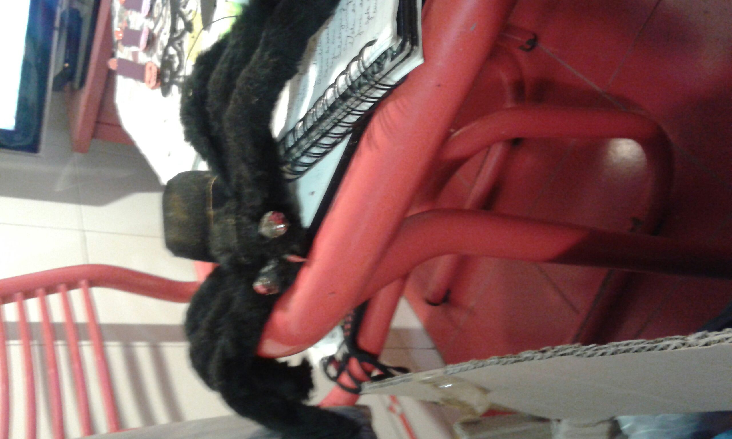 Donald’s Better Self Donald Duck