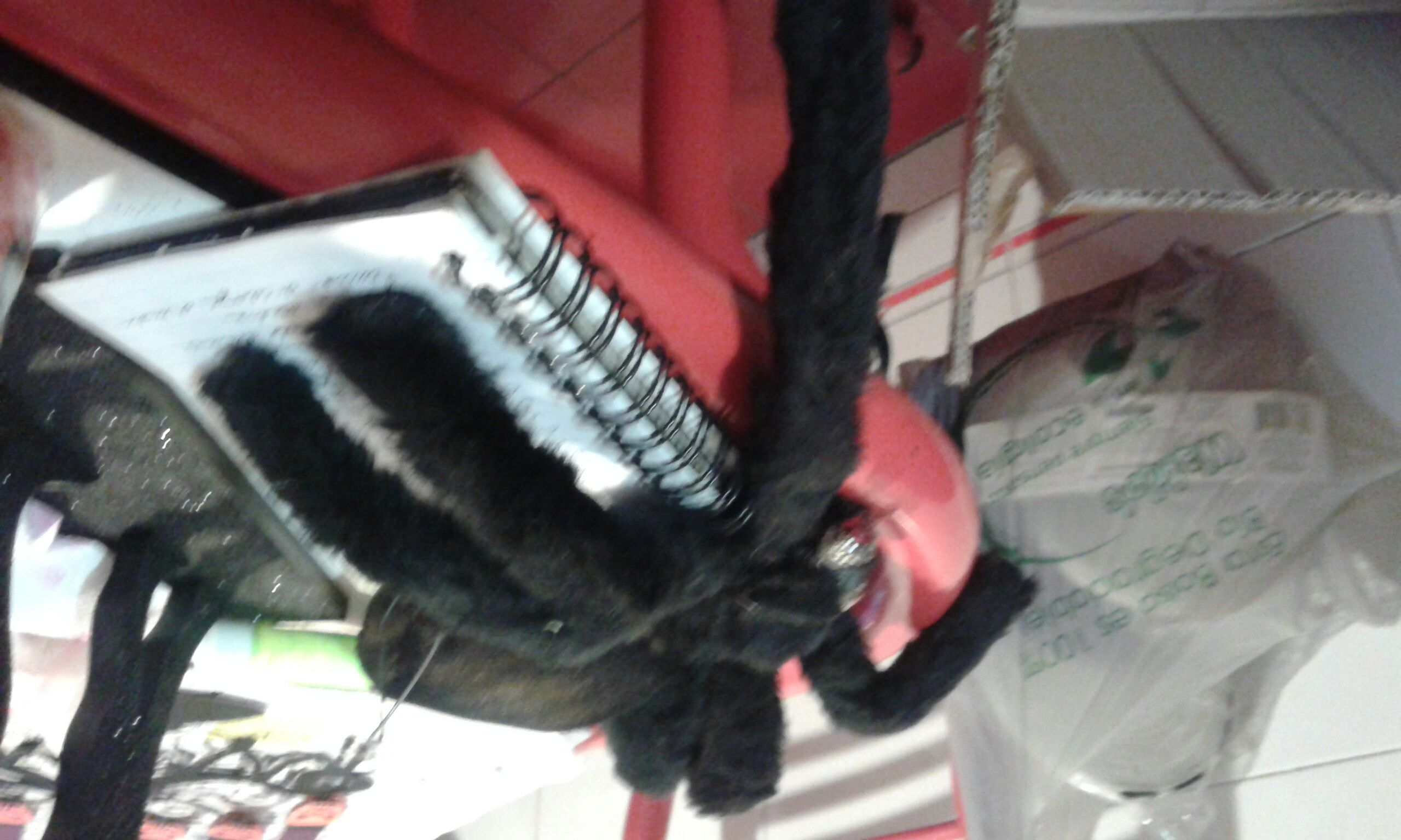 Araña tipo tarantula - Arañas (Halloween) ornament collectible [Barcode 7501557120249] - Main Image 2