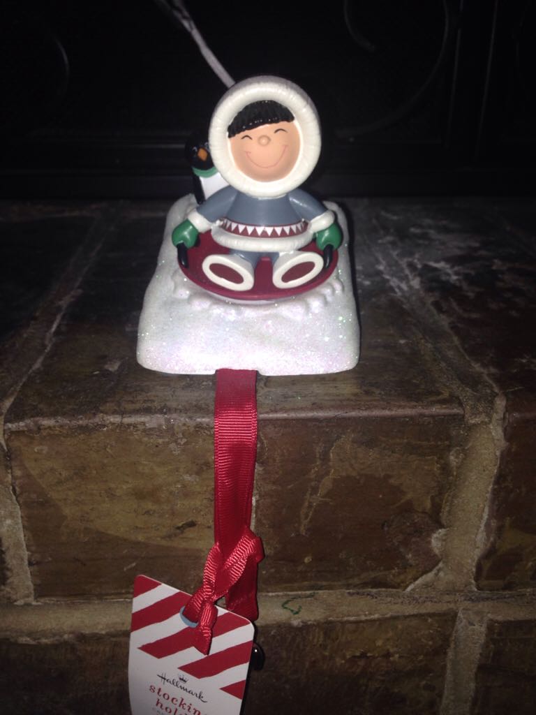 Indoor Remote Control