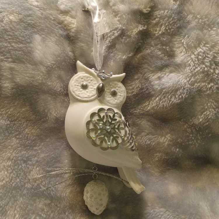 Winter White Owl - Beauty Of Birds (Birds) ornament collectible [Barcode 763795258642] - Main Image 4