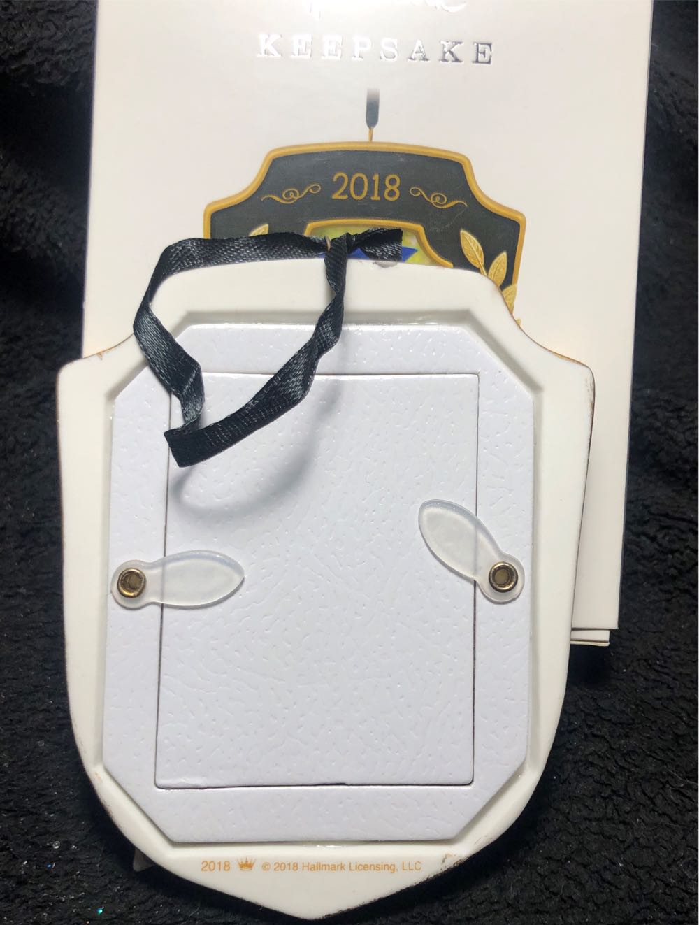 2018 Graduate Dana  (Picture Ornament) ornament collectible [Barcode 763795276950] - Main Image 4