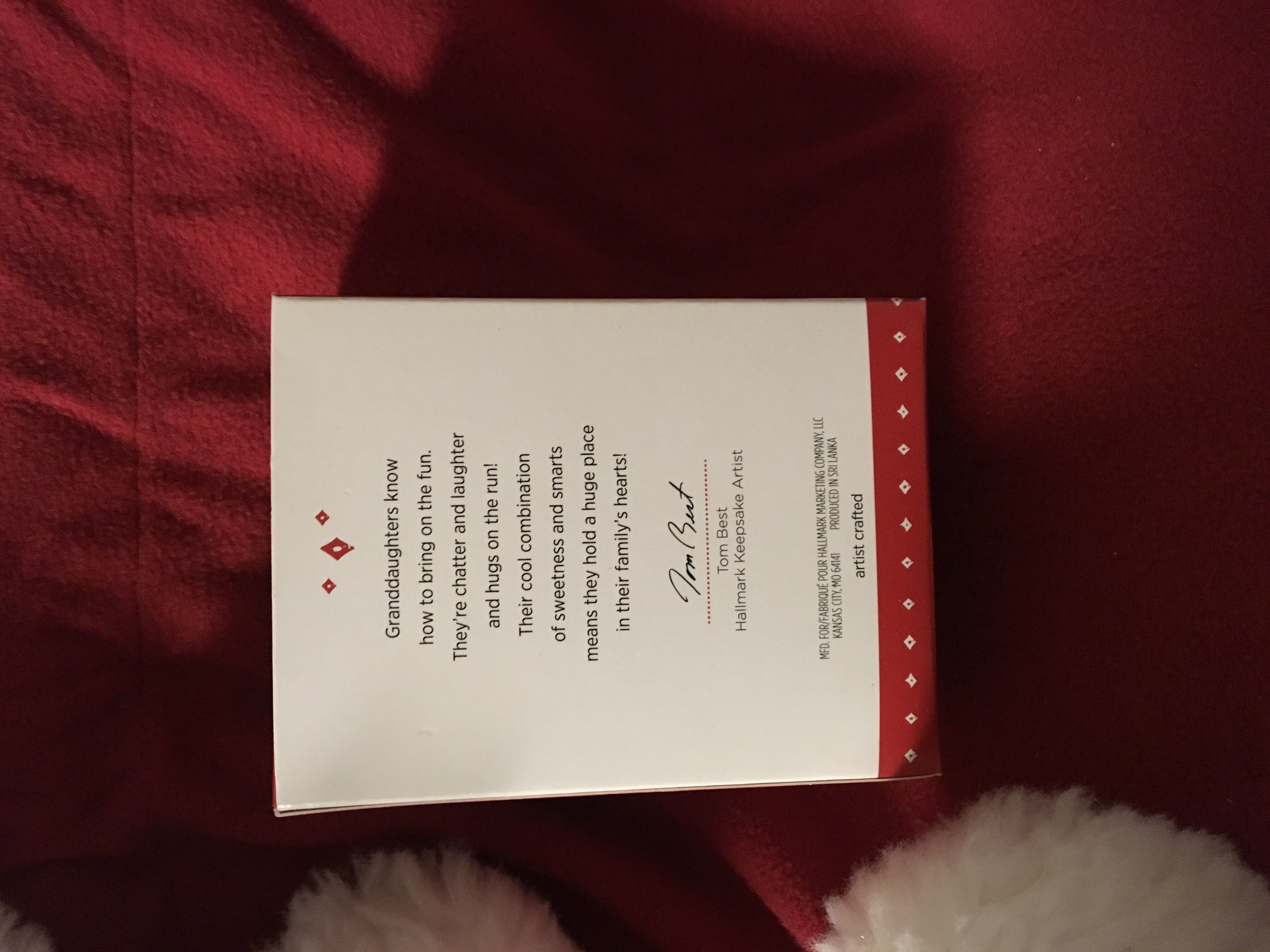 Granddaughter  (Family) ornament collectible [Barcode 763795971114] - Main Image 2