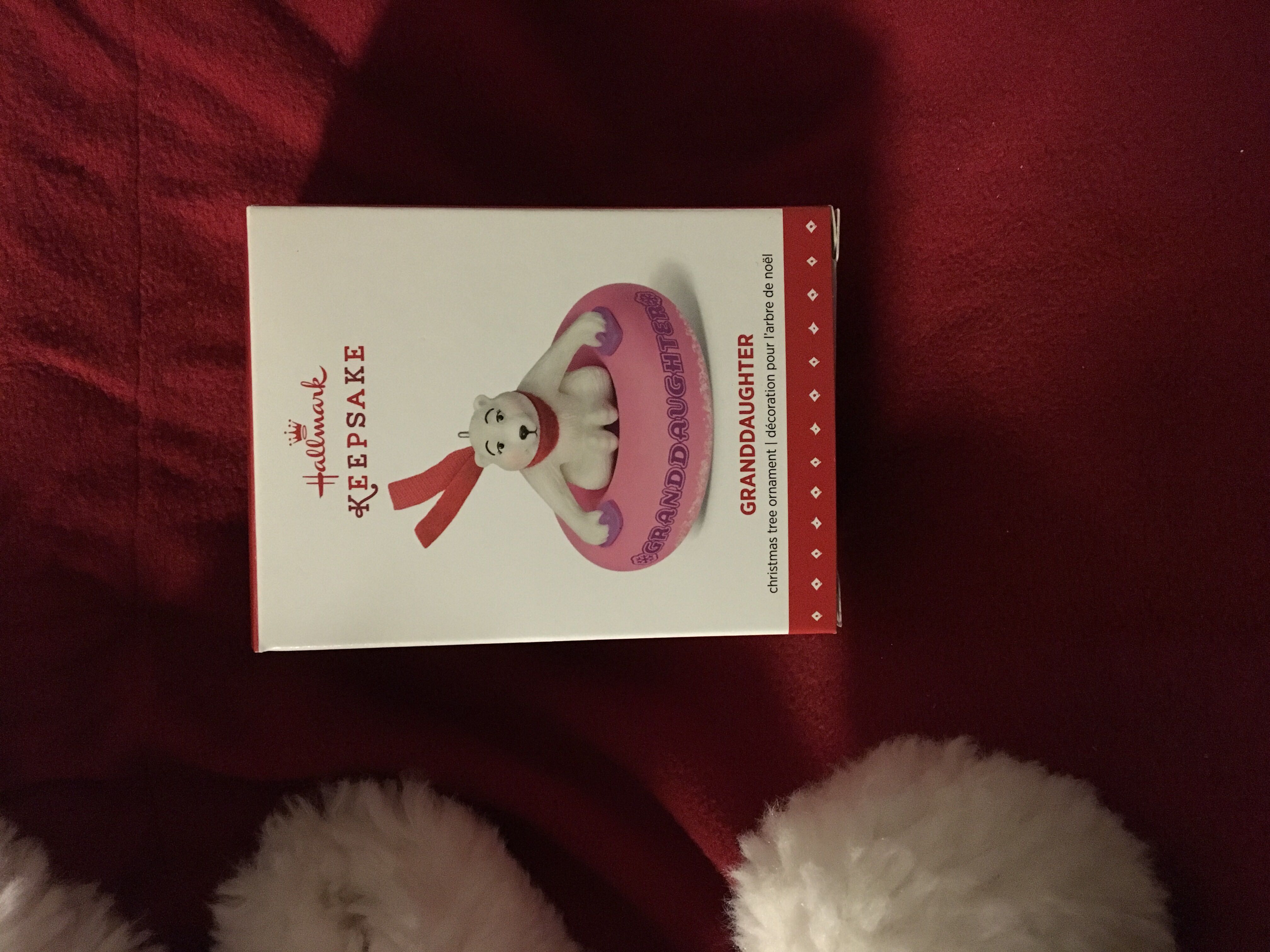 Granddaughter  (Family) ornament collectible [Barcode 763795971114] - Main Image 3