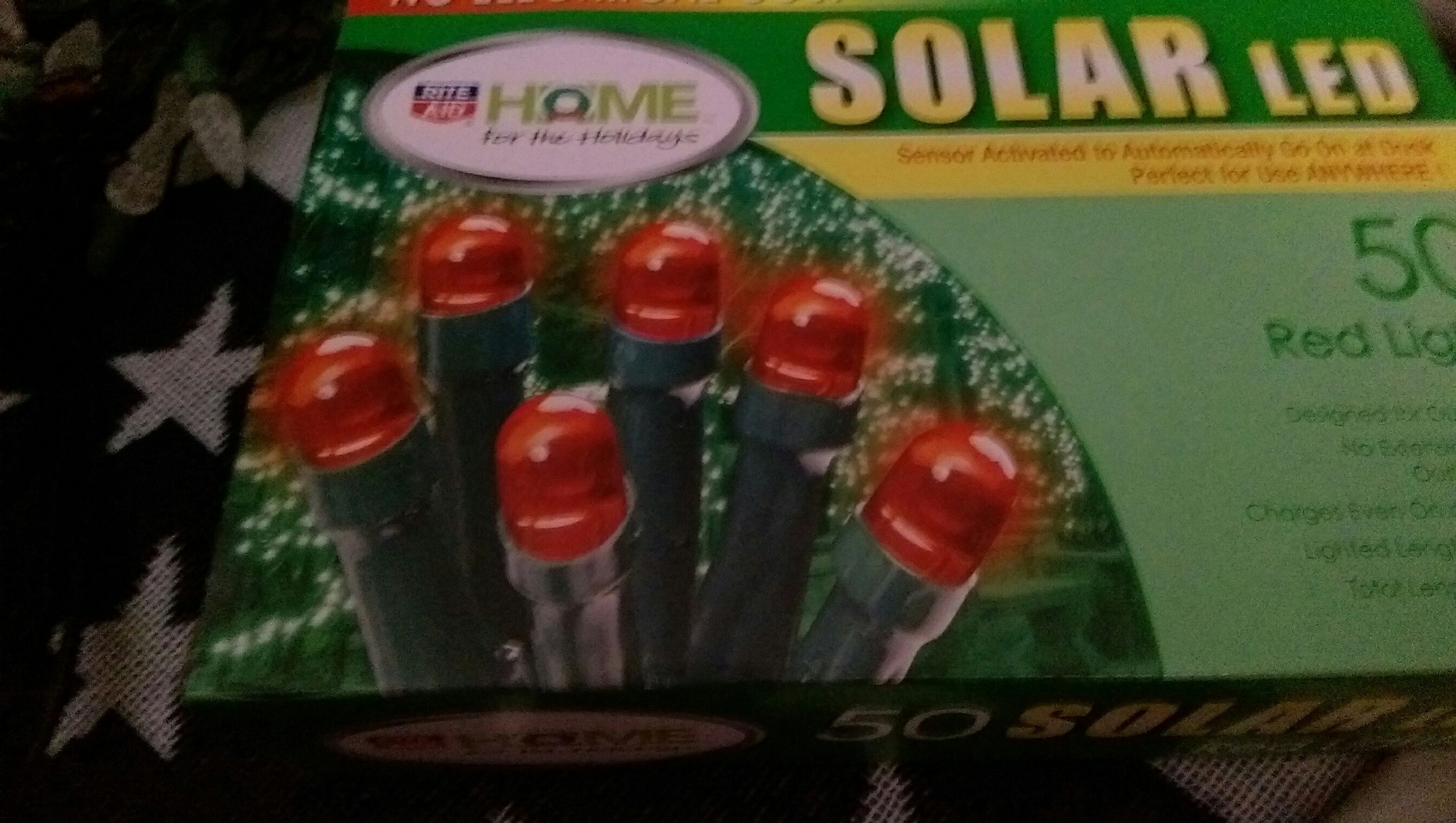 Flashing Lights Polar Bear