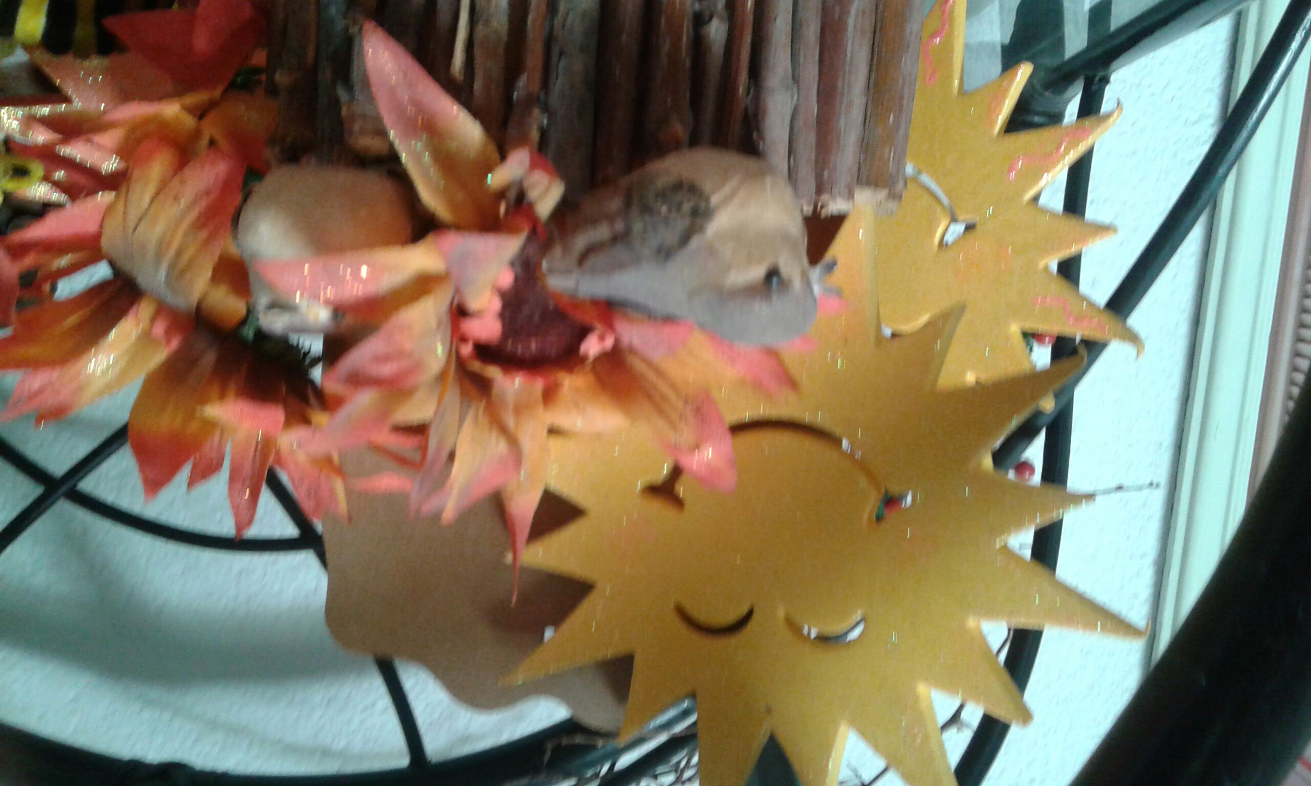 nido de primavera  (Primaverales) ornament collectible [Barcode 787117512519] - Main Image 2