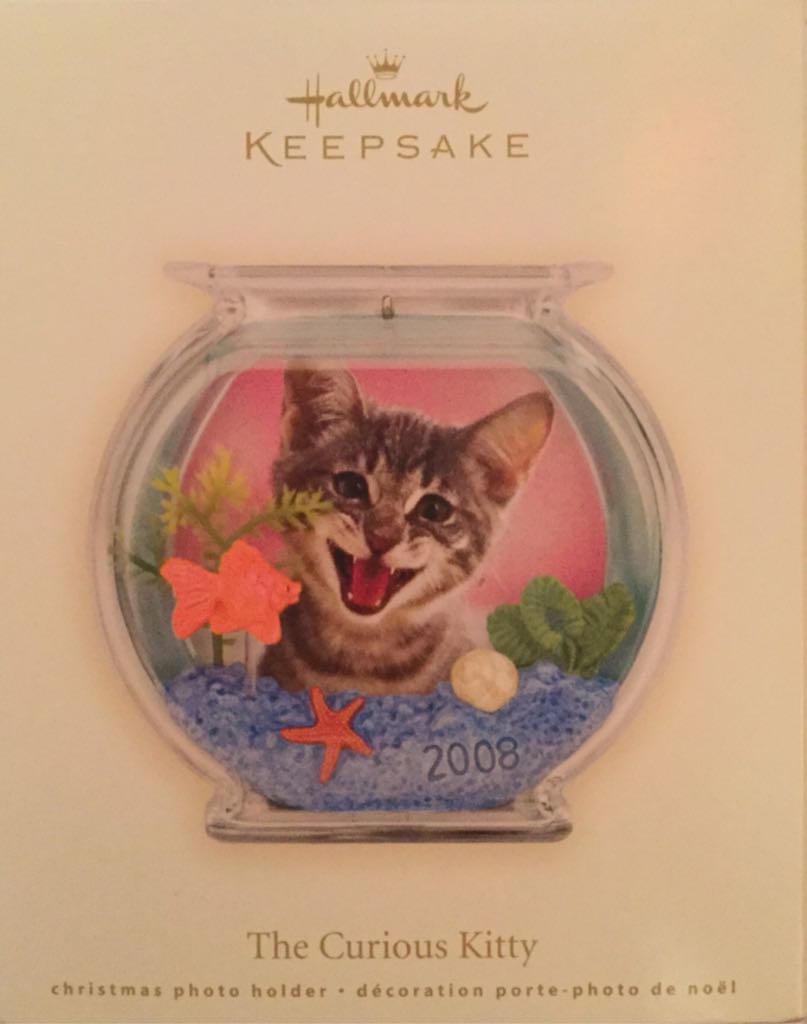 CAC#21 1968 Ford Mustang GT #21