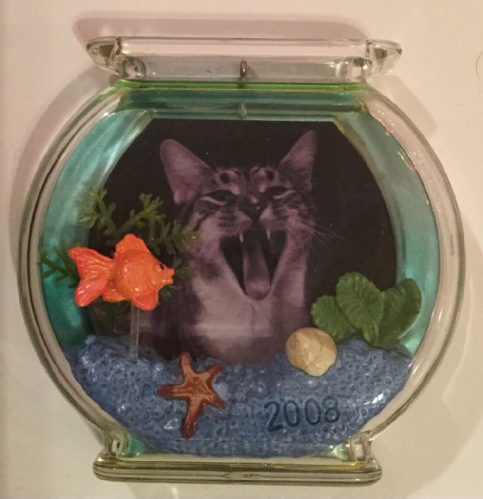 Curious Kitty, The  (Photo Holder) ornament collectible [Barcode 795902019259] - Main Image 2