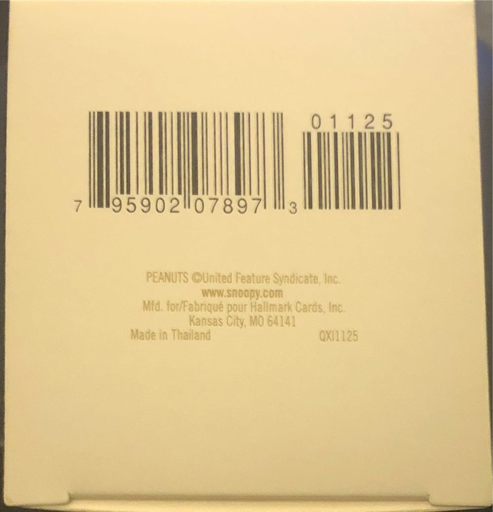 Hallmark Keepsake. Summer. The Peanuts Gang. A Spooky Story! 2009. - The Peanuts Gang (Peanuts) ornament collectible [Barcode 795902078973] - Main Image 4