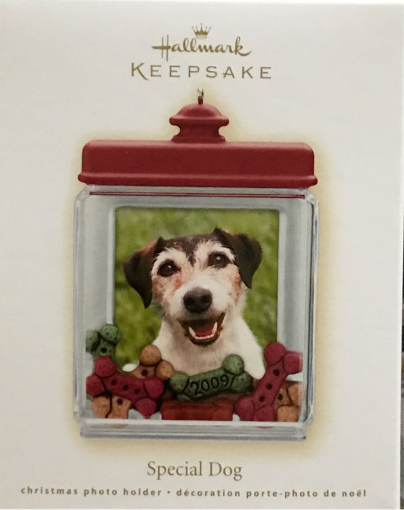 We’re All In This Together High School Musical