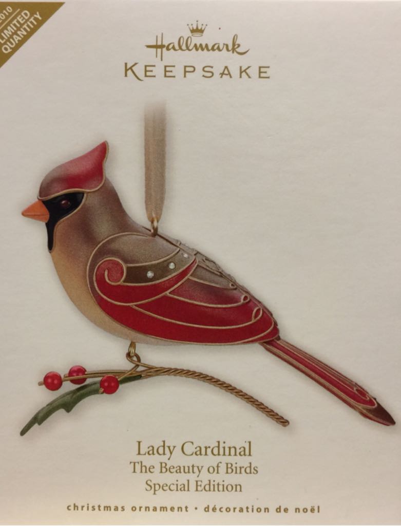 Wonder& Light Magic Cord