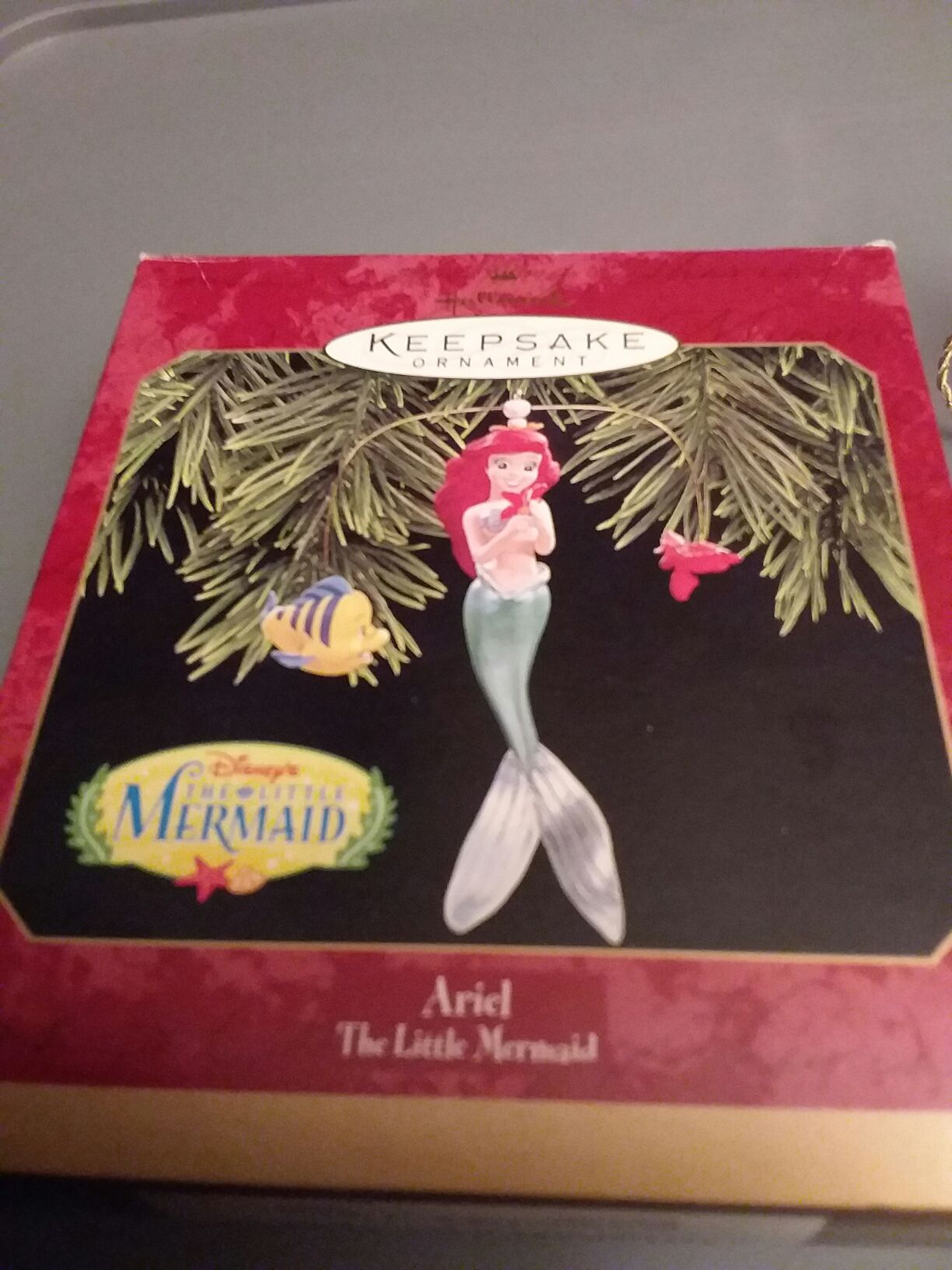 Bright Sledding Colors