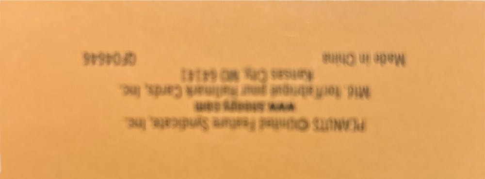 TPG10 Skele-brating Charlie Brown - The Peanuts Gang - The Peanuts Gang (Halloween - The Peanuts Gang) ornament collectible [Barcode 795902163525] - Main Image 3