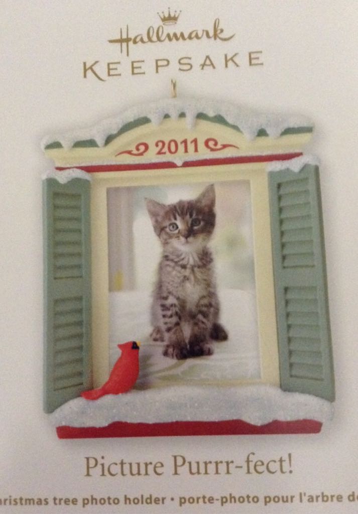 NHL: Sidney Crosby Pittsburgh Penguins 2009 Ornament