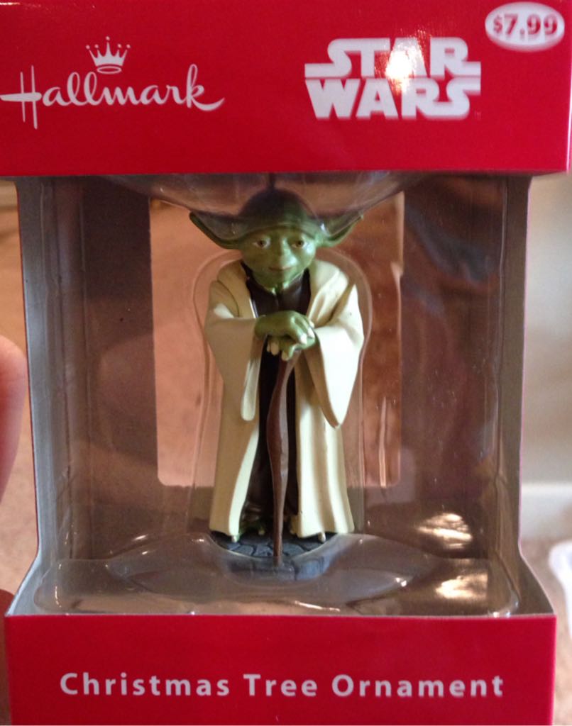 Mischievous Kittens   7th