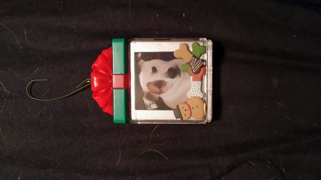 300 Red and Green Christmas lights