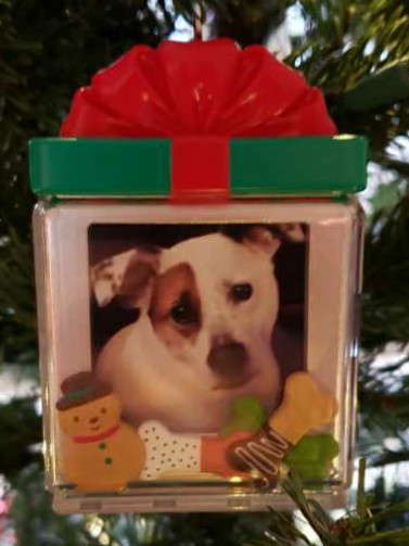 Perfect Pup - Photo Holder (Dogs) ornament collectible [Barcode 795902412425] - Main Image 3