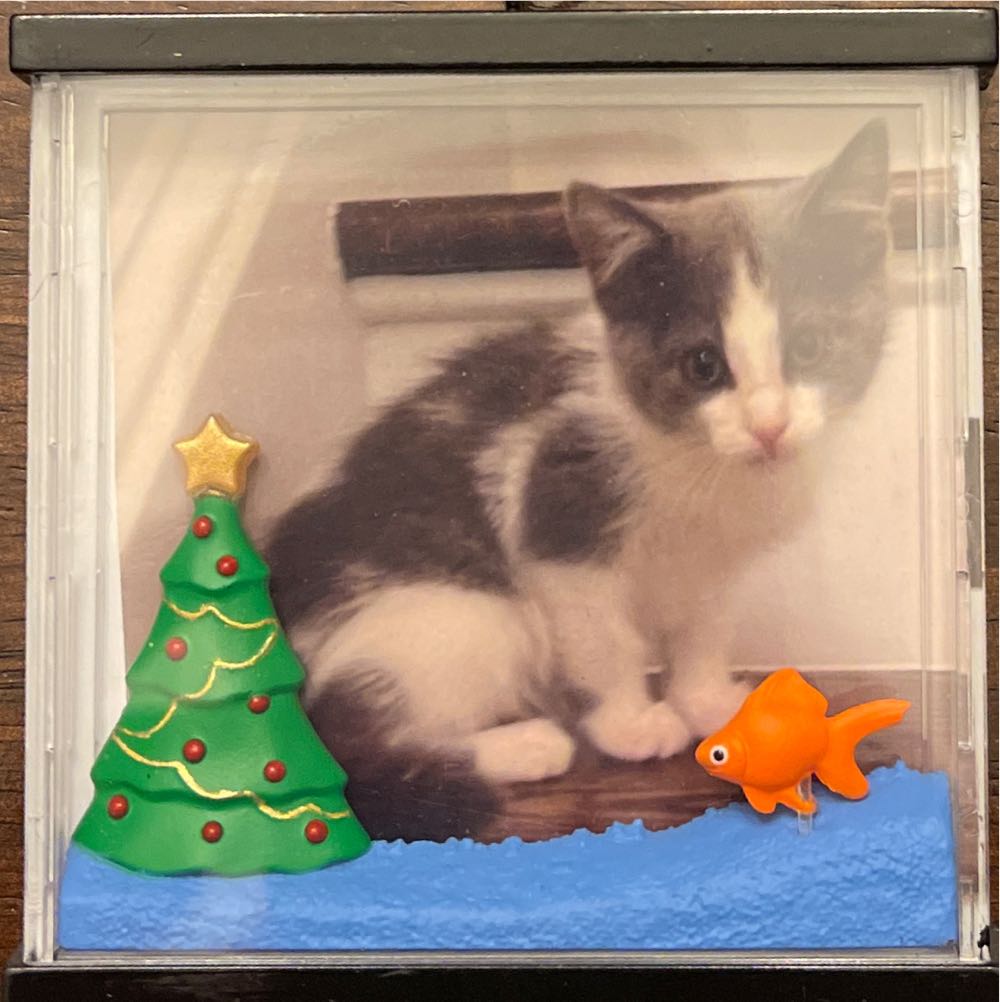 Picture Perfect - Photo Holder (Cat) ornament collectible [Barcode 795902412432] - Main Image 2