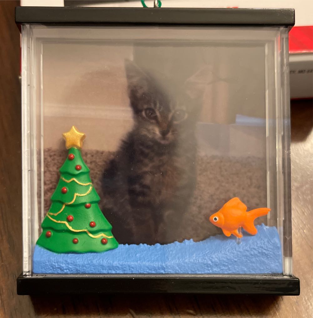 Picture Perfect - Photo Holder (Cat) ornament collectible [Barcode 795902412432] - Main Image 3